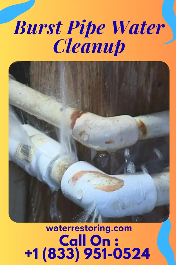 Burst Pipe Water Cleanup in Geneva-on-the-Lake, OH