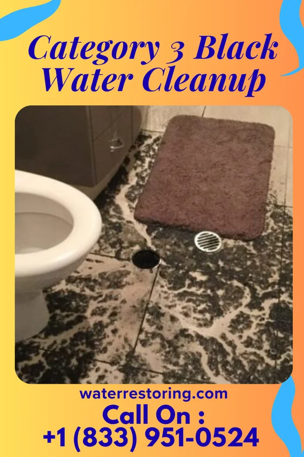 Category 3 Black Water Cleanup in Geneva-on-the-Lake, OH
